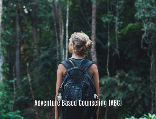 Adventure Based Counseling (ABC)